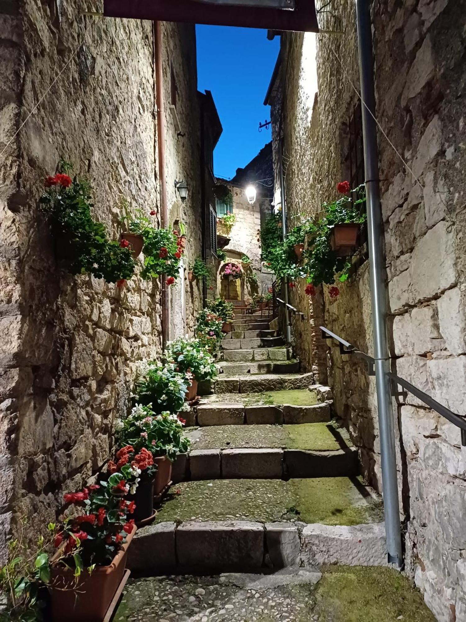 Porta Della Valle Casa Vacanze Villa Castro dei Volsci Exterior photo