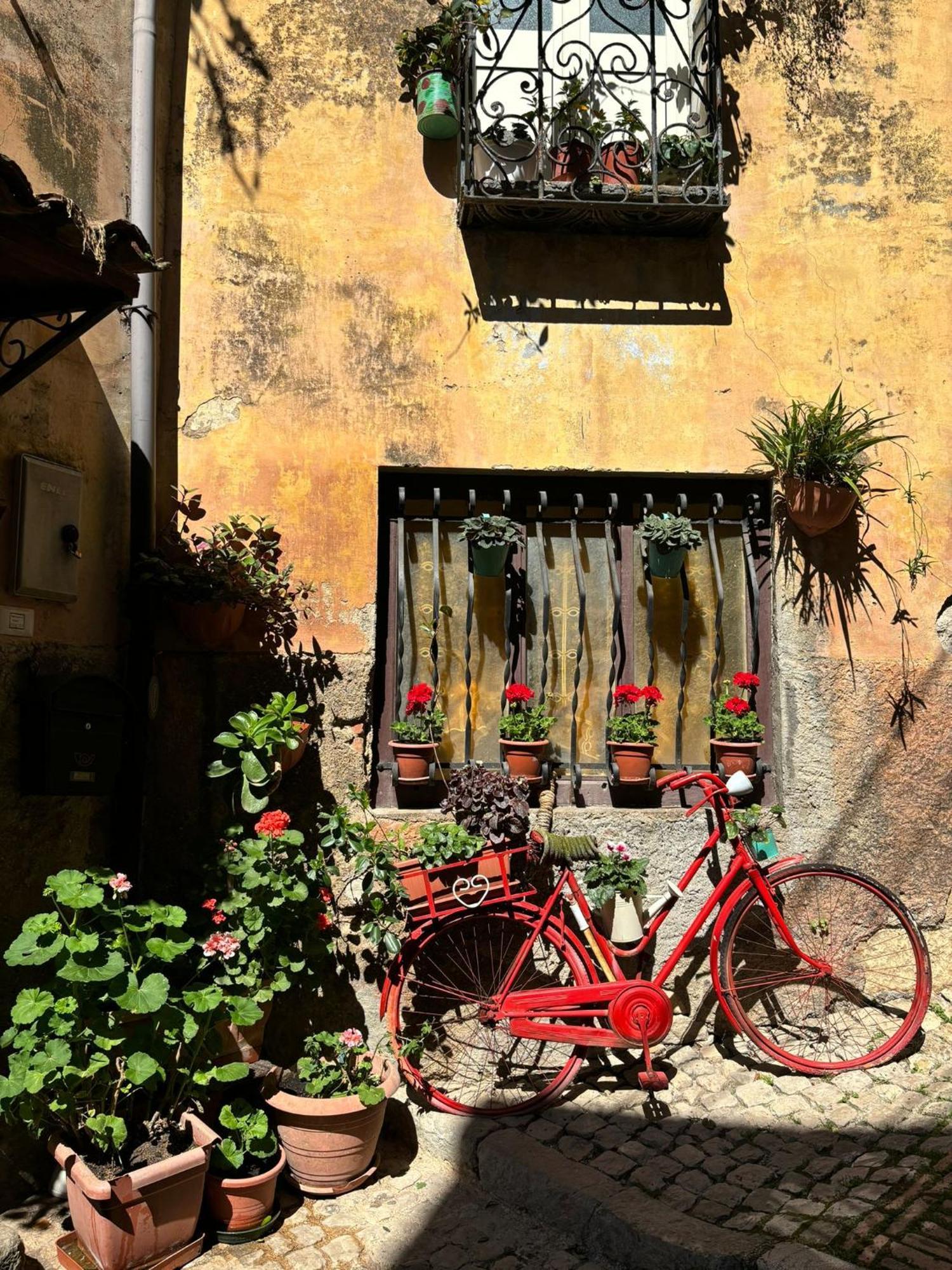 Porta Della Valle Casa Vacanze Villa Castro dei Volsci Exterior photo